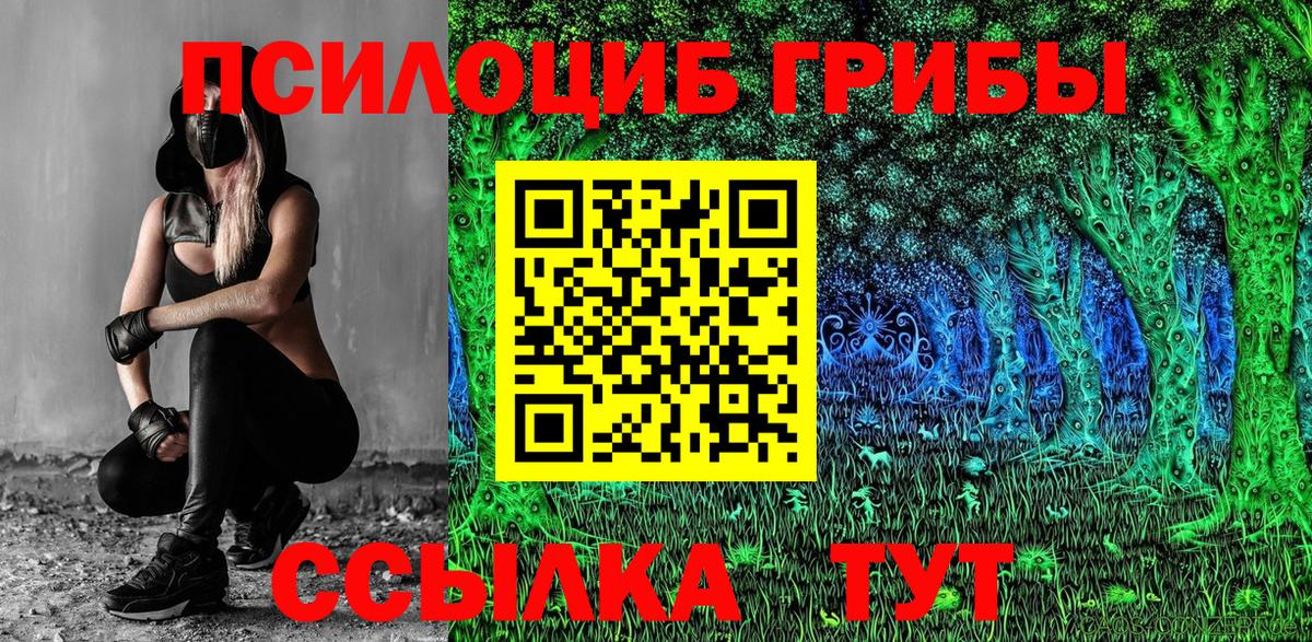 закладка  Псилоцибиновые грибы MAGIC MUSHROOMS  Вход с VPN  Псилоцибиновые грибы GOLDEN TEACHER  Светлоград 
